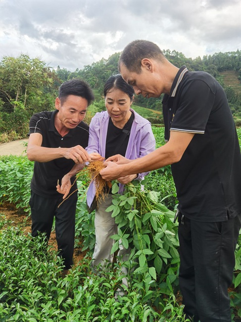 廖紅 全國婦聯(lián)常委、科技特派員、福建農(nóng)林大學(xué)根系生物學(xué)研究中心主任（中國青年女科學(xué)家獎）