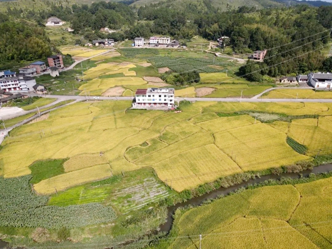 。永泰縣融媒體中心供圖