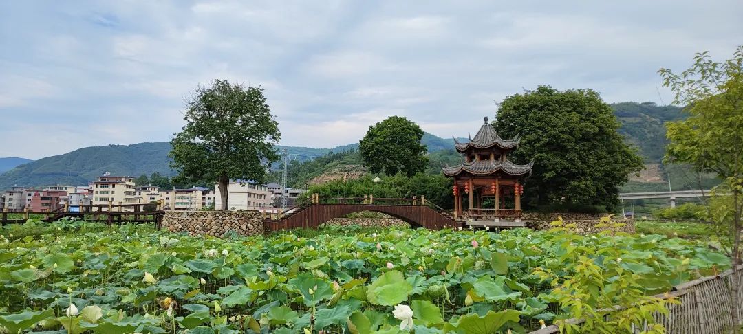 塔莊鎮(zhèn)坪街村（黨建示范點(diǎn)）。