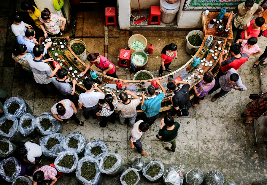 安溪茶都品茶一角。安溪縣委宣傳部供圖