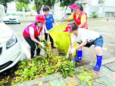 廈門市巾幗志愿者走上街頭，拉起倒伏樹木，清理落地樹枝。廈門市婦聯(lián)供圖